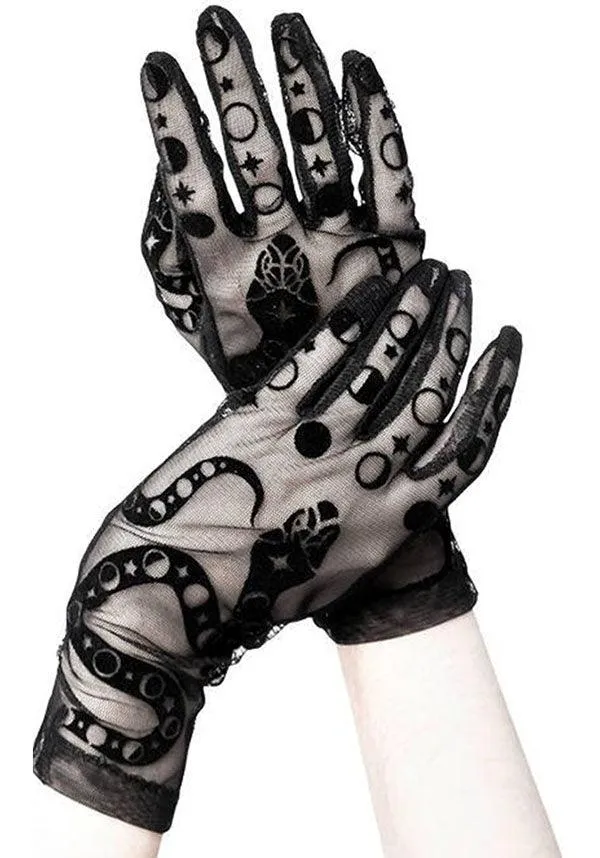 Snake | MESH GLOVES