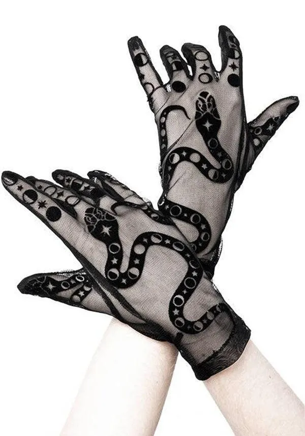 Snake | MESH GLOVES